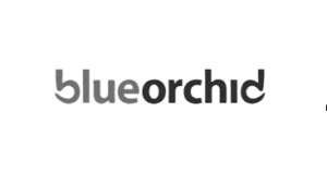 UK_startup_Visa_endorsing_body_Blue_Orchid_Enterprise_Solutions_Ltd