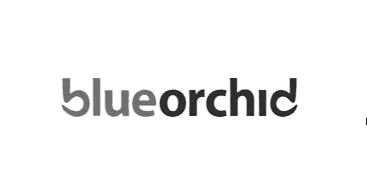 UK_startup_Visa_endorsing_body_Blue_Orchid_Enterprise_Solutions_Ltd